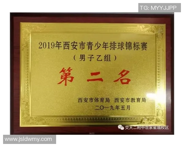 深圳排球队在全国排球团队协作排行榜中荣获第十名的佳绩分析