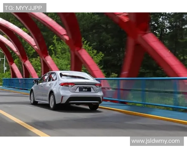 赛后复盘：成都极限运动队 vs 南京极限运动队的比赛经验